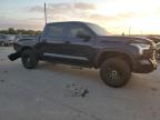 2024 Toyota Tundra Crewmax Sr de vânzare în Grand Prairie, TX - Rear End