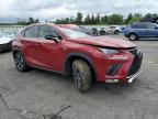 2019 Lexus Nx 300 Base for Sale in Pennsburg, PA - Top/Roof