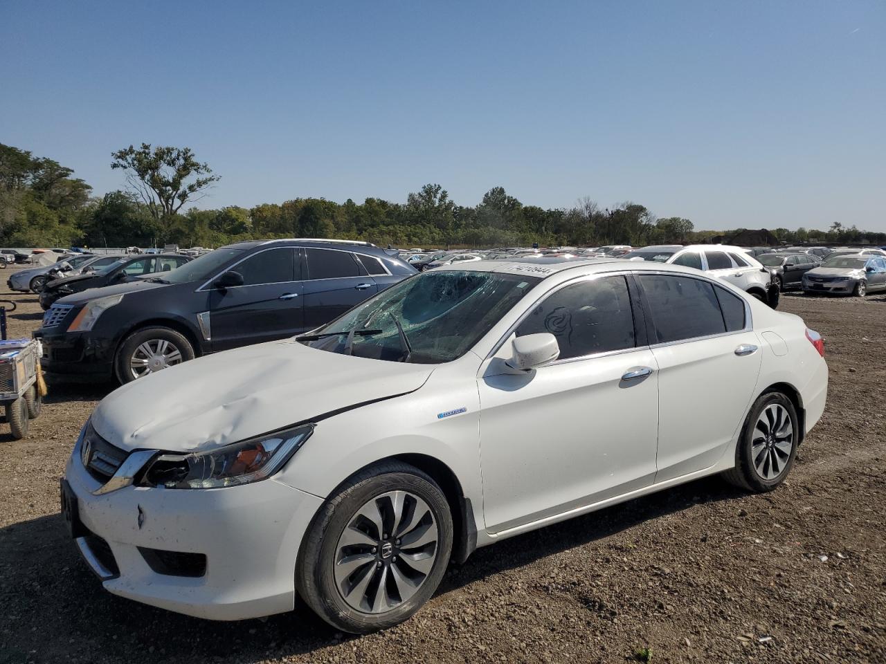 2014 Honda Accord - Image 1