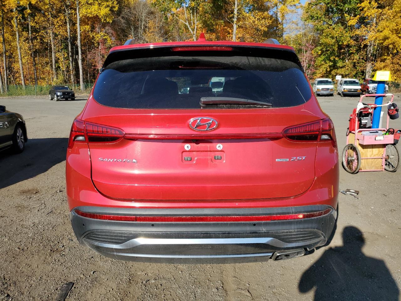 2023 Hyundai Santa Fe Limited VIN: 5NMS4DAL6PH531436 Lot: 77188394