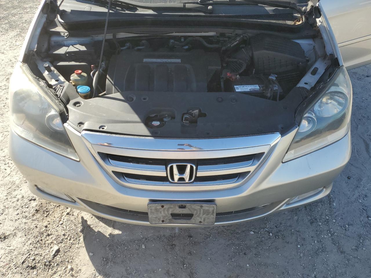 2005 Honda Odyssey Exl VIN: 5FNRL38775B012740 Lot: 76139754