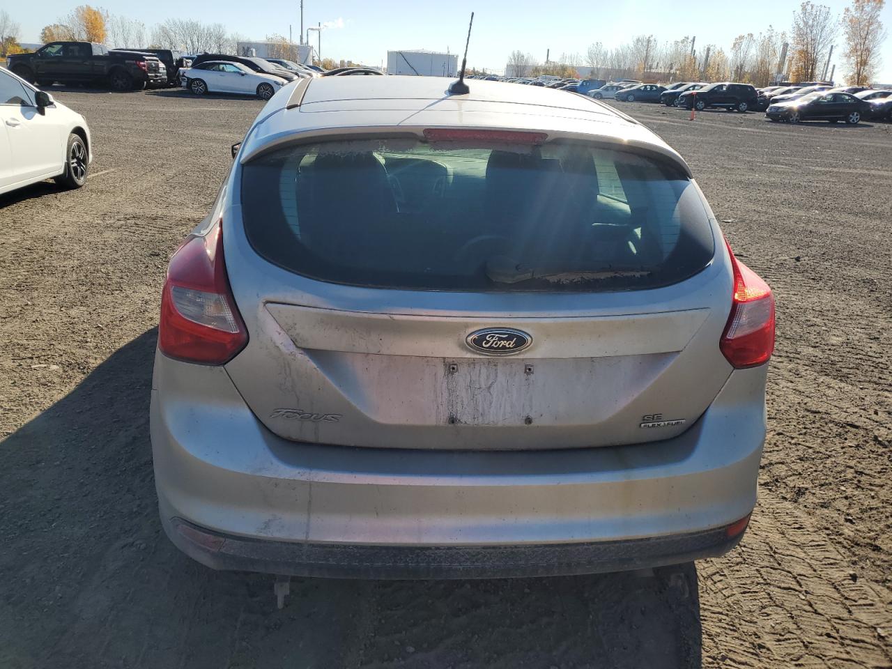 2014 Ford Focus Se VIN: 1FADP3K24EL308216 Lot: 77860924