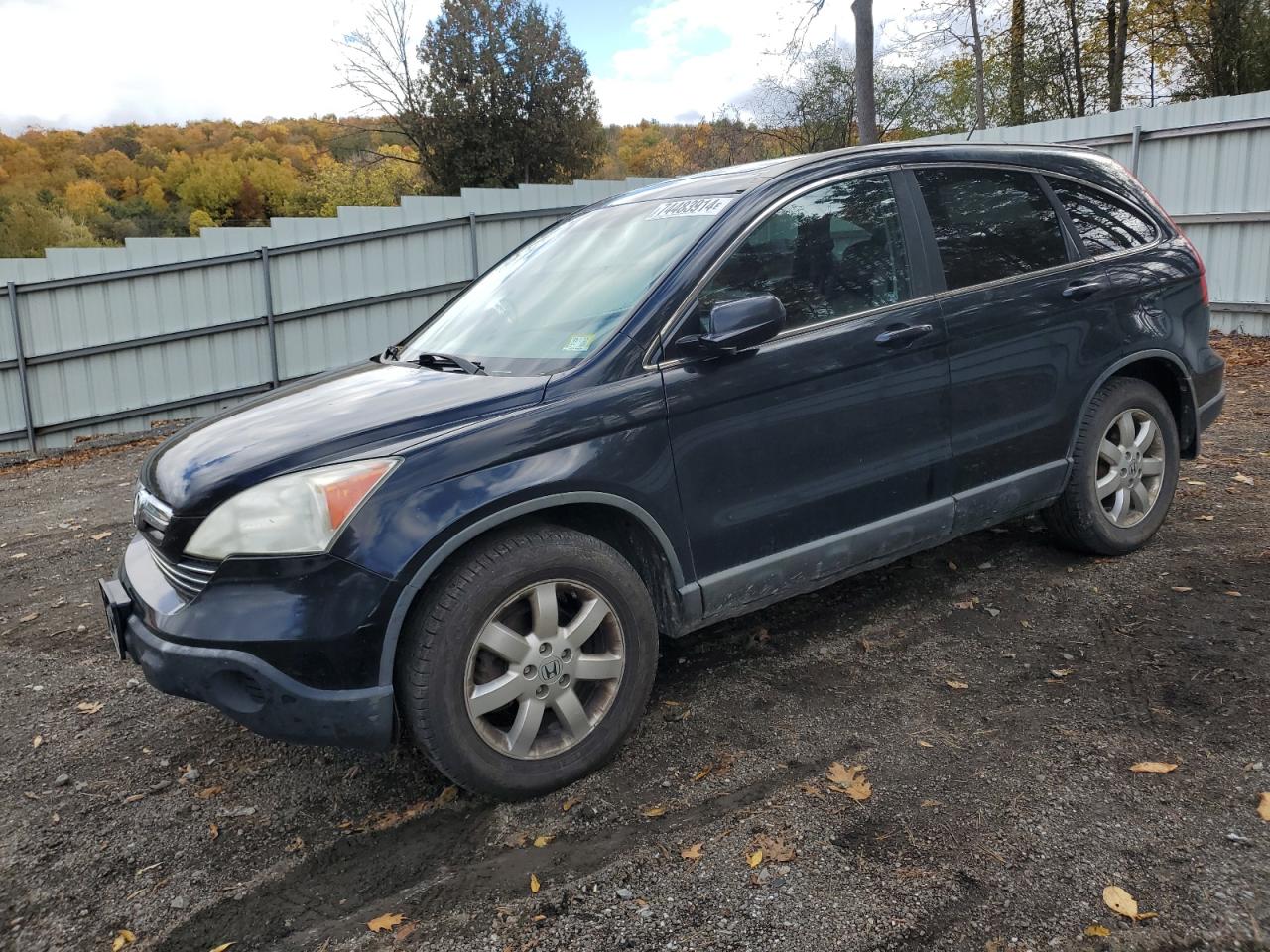 2009 Honda Cr-V Exl VIN: 5J6RE48759L035771 Lot: 74483914