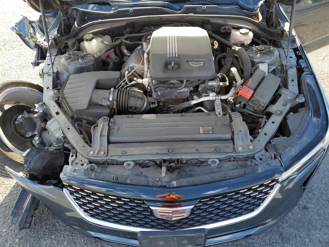 2021 Cadillac Ct4 Luxury VIN: 1G6DJ5RK6M0114478 Lot: 77713684