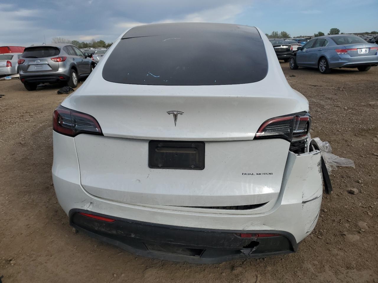 2023 Tesla Model Y VIN: 7SAYGDEE5PF623865 Lot: 74695794