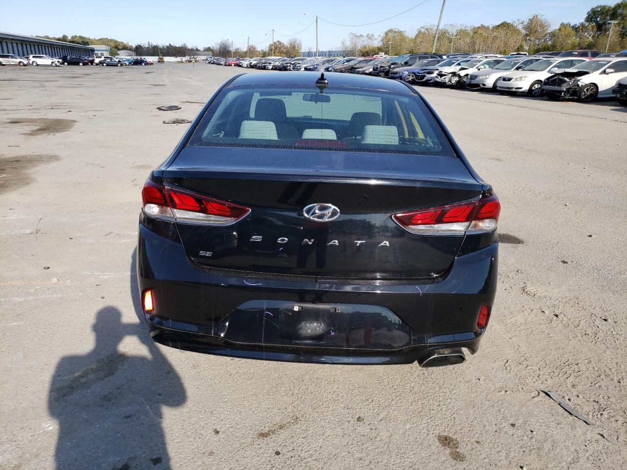 2019 Hyundai Sonata Se VIN: 5NPE24AF4KH81900 Lot: 75784834