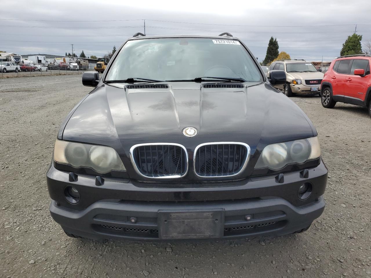 2002 BMW X5 3.0I VIN: 5UXFA53582LP34851 Lot: 75721014