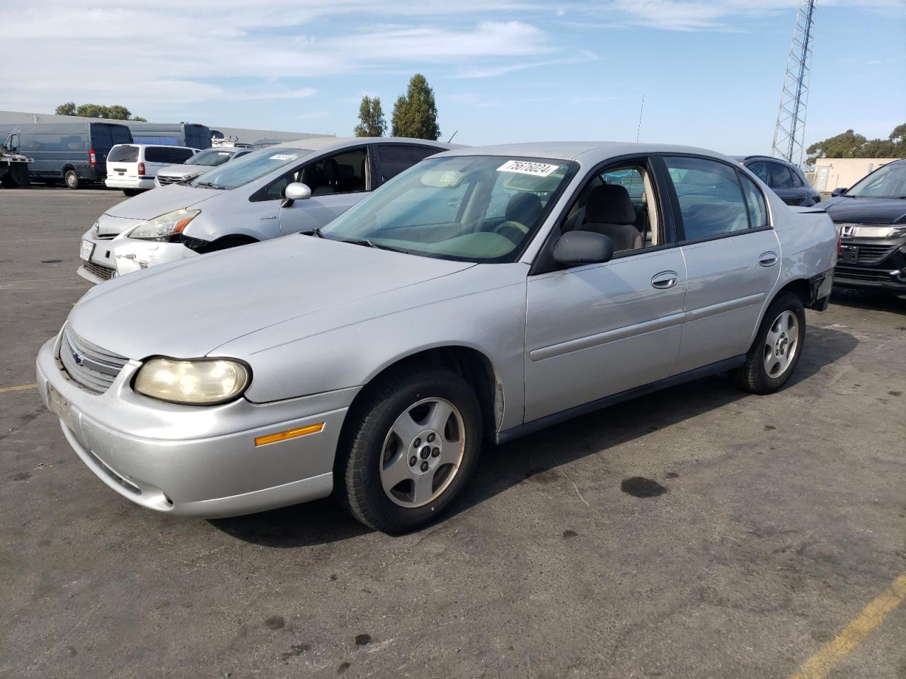 2005 Chevrolet Classic VIN: 1G1ND52F85M191507 Lot: 75676024