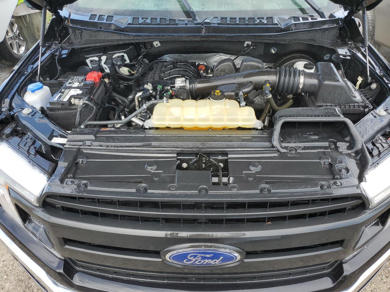 2020 Ford F150 VIN: 1FTMF1CB1LKE12813 Lot: 74514954
