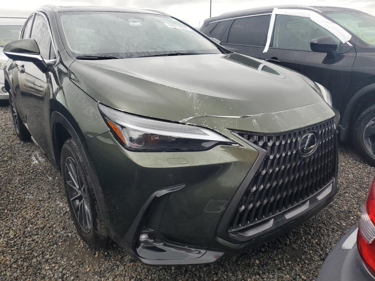 2024 Lexus NX - Image 5