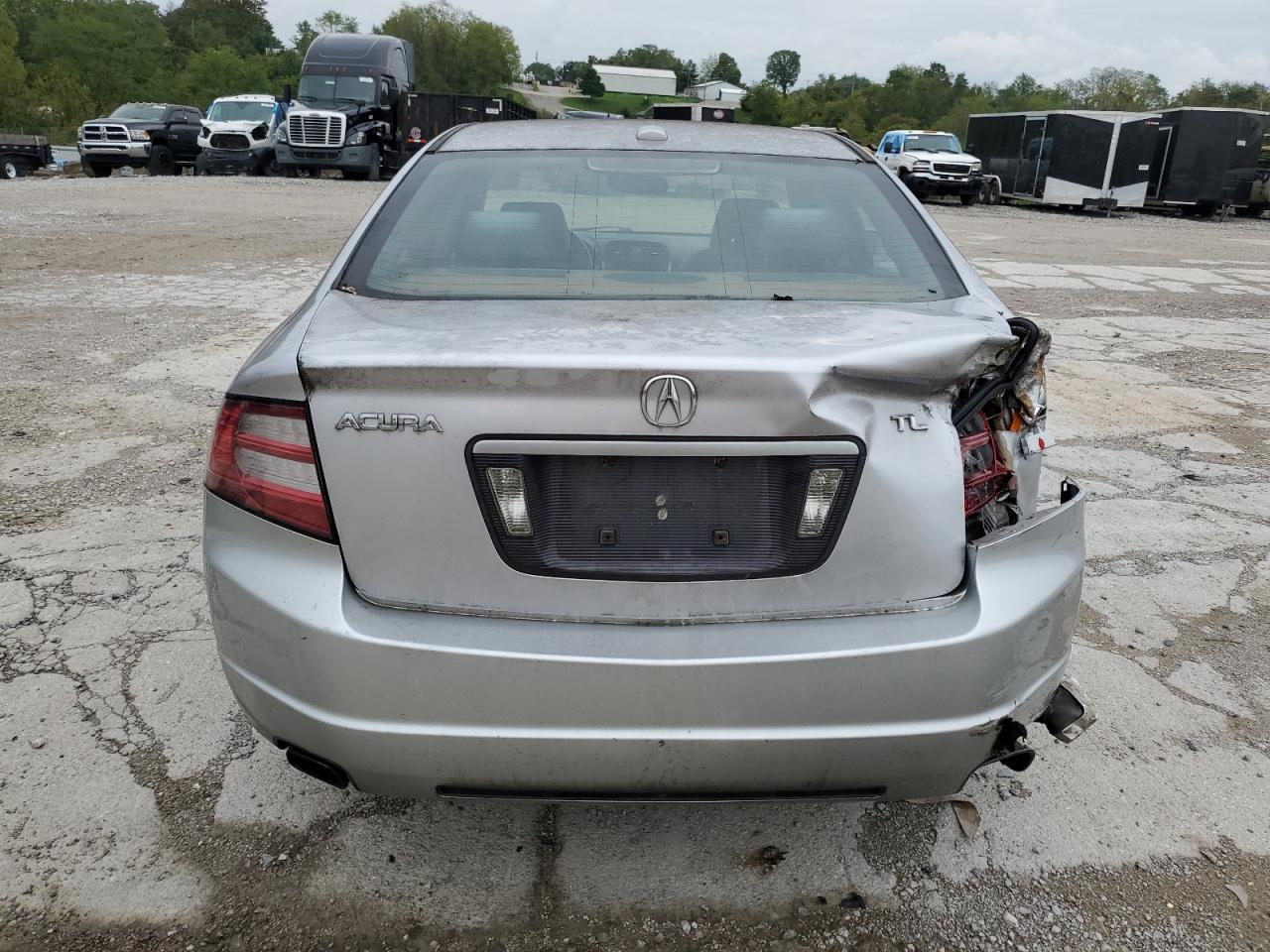 2008 Acura Tl VIN: 19UUA66208A056411 Lot: 74021964