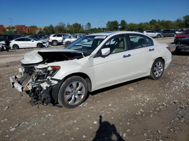 2008 Honda Accord Exl