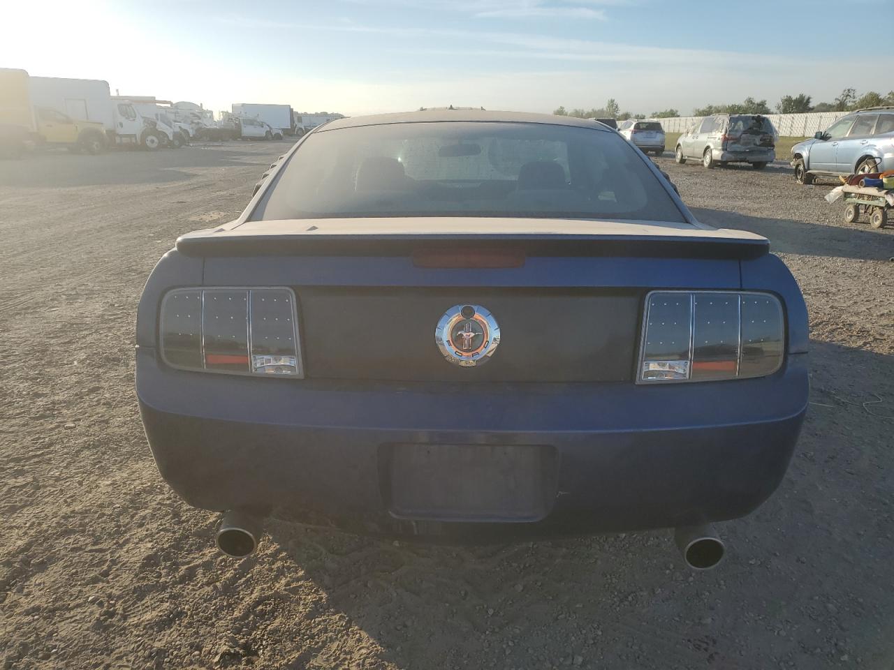 2009 Ford Mustang VIN: 1ZVHT80N295100599 Lot: 76300654