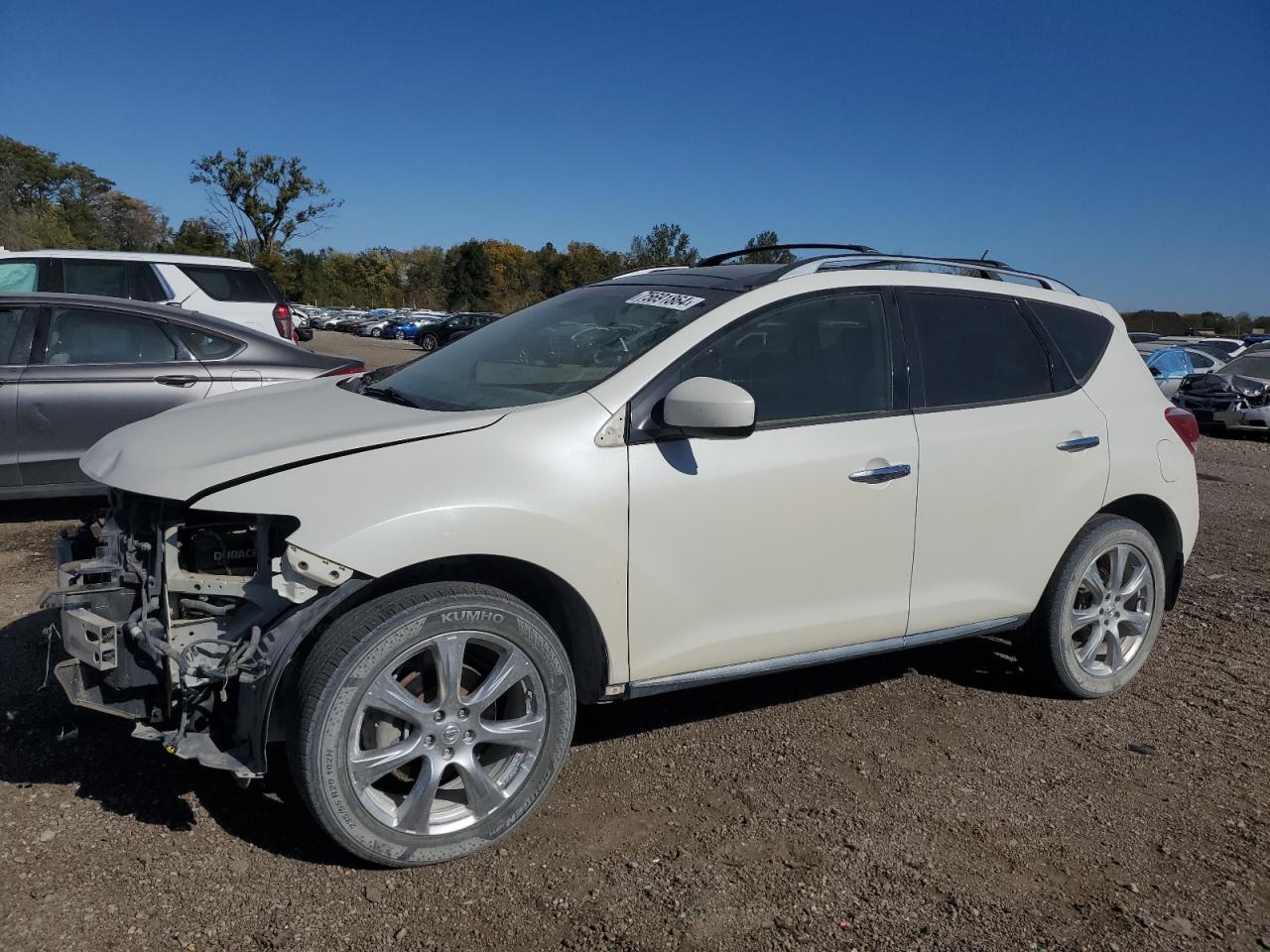 2013 Nissan Murano S VIN: JN8AZ1MW1DW310180 Lot: 75691864