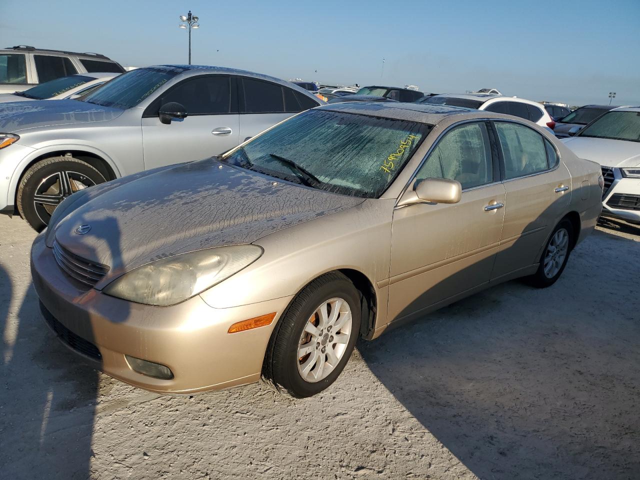 2004 Lexus ES - Image 1