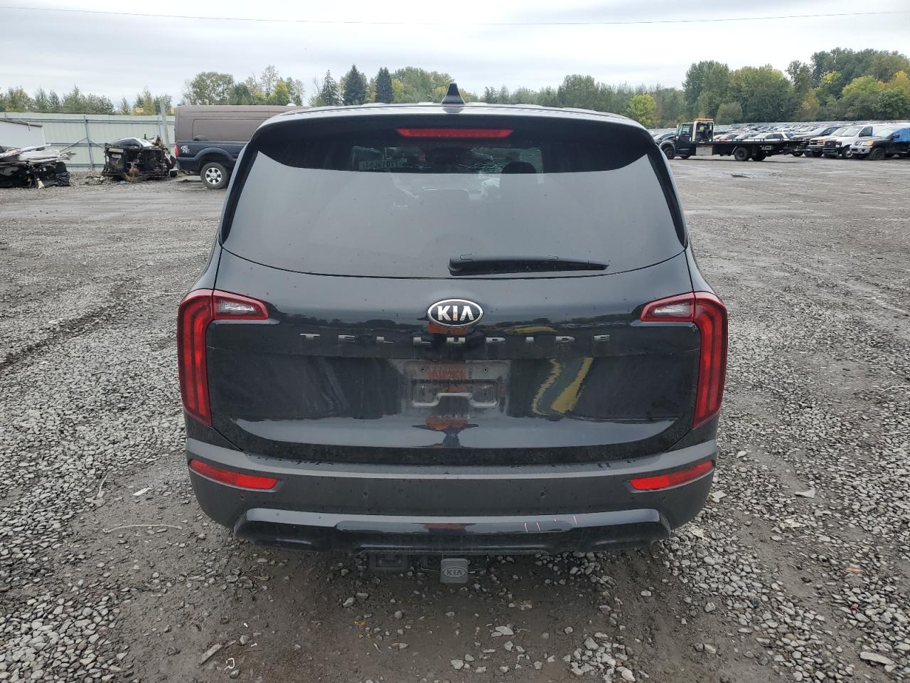 2020 Kia Telluride Lx VIN: 5XYP2DHC7LG087876 Lot: 77013684