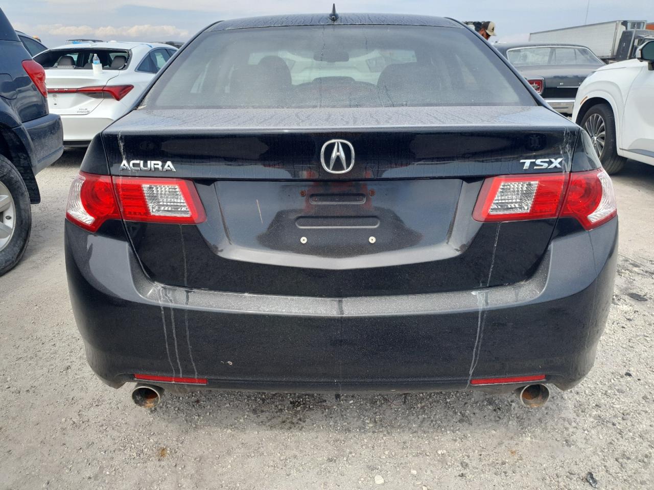 2010 Acura Tsx VIN: JH4CU2F6XAC043655 Lot: 74693404