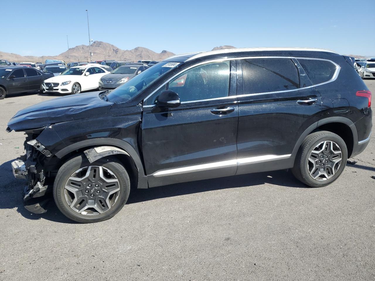 2021 Hyundai Santa Fe Limited VIN: 5NMS4DAL3MH347003 Lot: 76185984