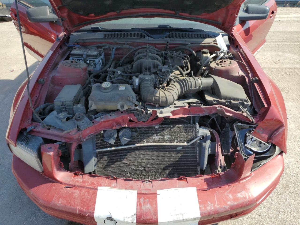 2009 Ford Mustang - Image 13