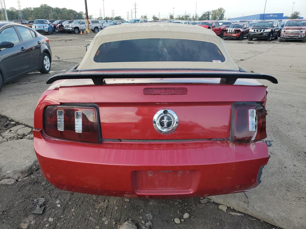 2009 Ford Mustang VIN: 1ZVHT84N995127356 Lot: 74697714