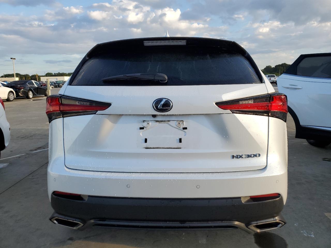 2020 Lexus Nx 300 VIN: JTJGARDZ8L2218377 Lot: 73680804