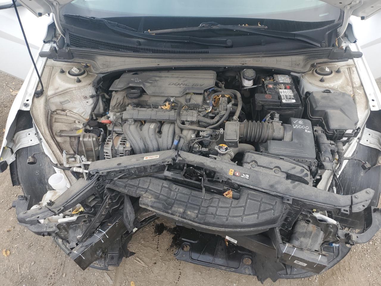 2021 Hyundai Elantra Sel VIN: KMHLN4AG3MU166590 Lot: 77398864