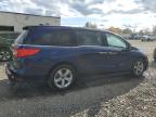 2020 Honda Odyssey Exl for Sale in Hillsborough, NJ - Front End
