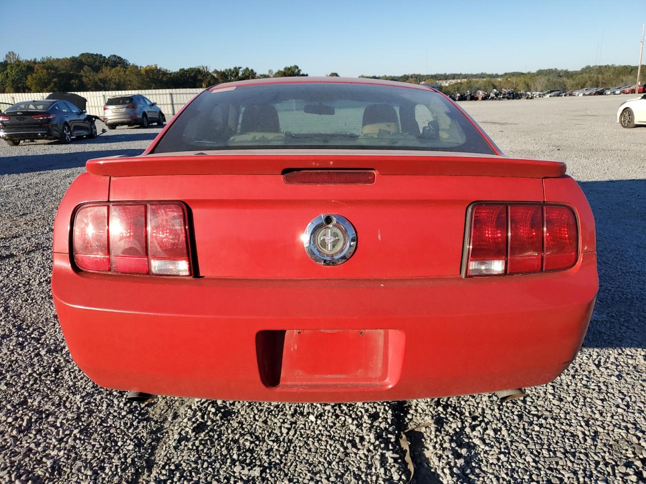 2008 Ford Mustang VIN: 1ZVHT80N785201295 Lot: 76024104