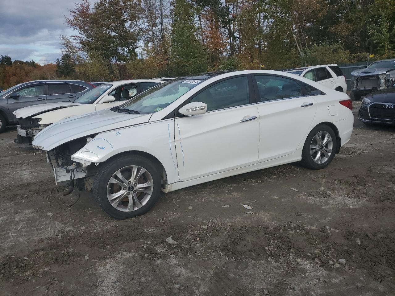 2013 Hyundai Sonata - Image 1