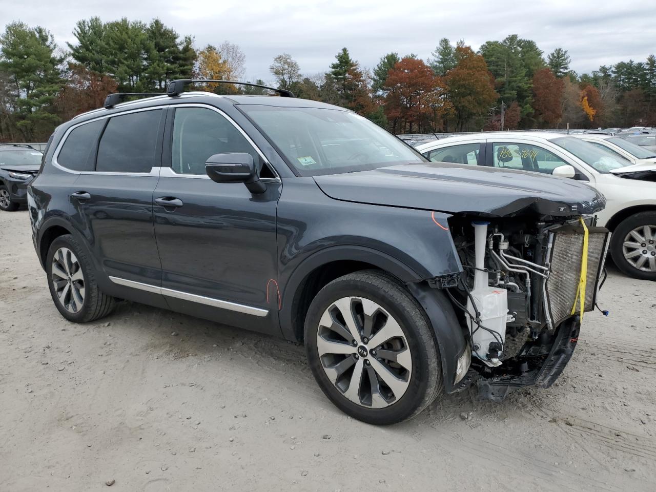 2020 Kia Telluride Ex VIN: 5XYP3DHC6LG059886 Lot: 77612434