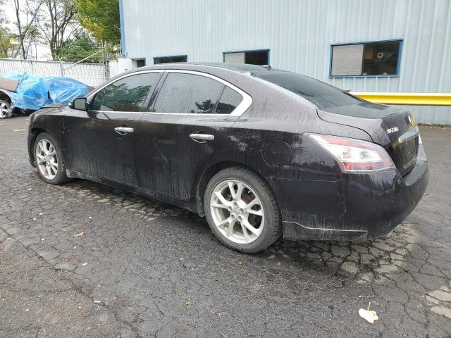  NISSAN MAXIMA 2012 Fioletowy