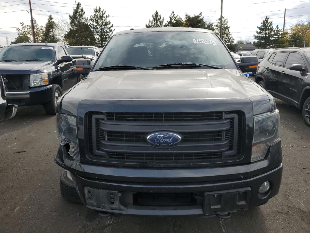 2013 Ford F150 Supercrew VIN: 1FTFW1ET3DKG51196 Lot: 76815974