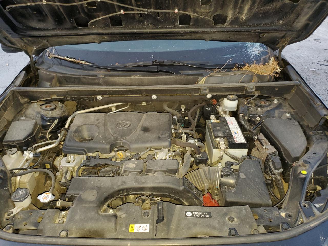 2019 Toyota RAV 4 - Image 12