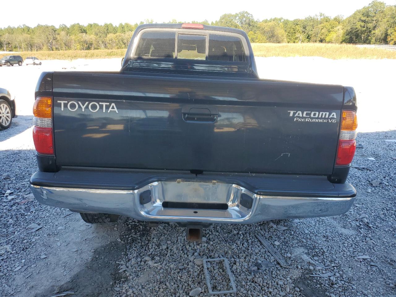 2001 Toyota Tacoma Xtracab Prerunner VIN: 5TESN92NX1Z794515 Lot: 76516874