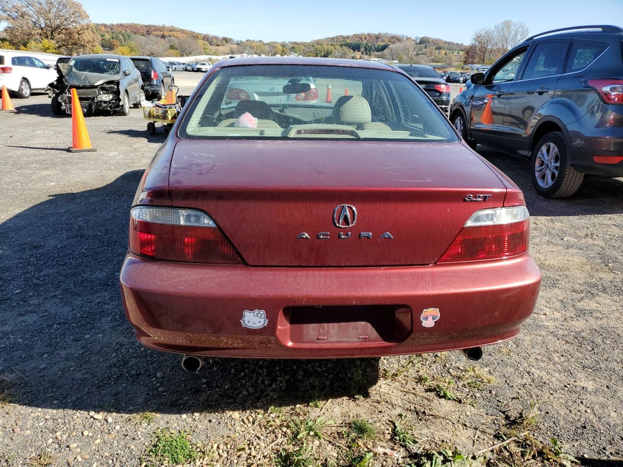 2003 Acura 3.2Tl VIN: 19UUA56663A091119 Lot: 77676864