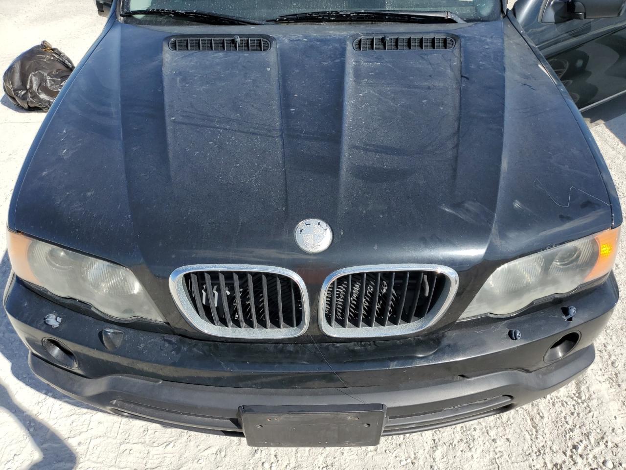 2002 BMW X5 3.0I VIN: 5UXFA53532LP39066 Lot: 77736044