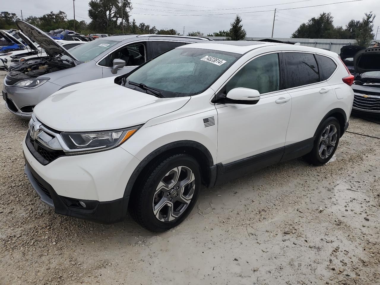 2019 Honda Cr-V Exl VIN: 5J6RW1H8XKA026652 Lot: 74523814