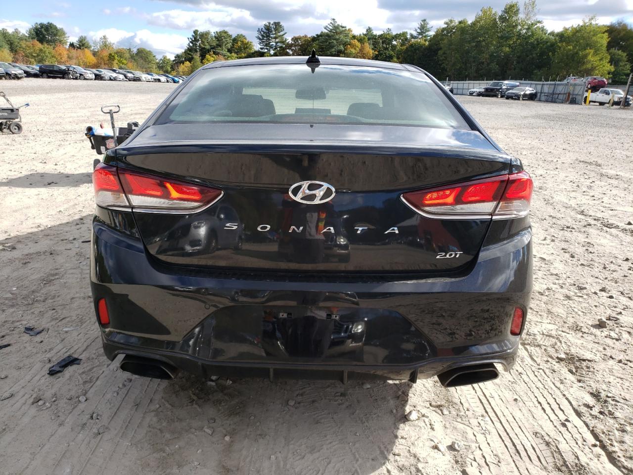 2019 Hyundai Sonata Limited Turbo VIN: 5NPE34AB3KH733864 Lot: 74767394