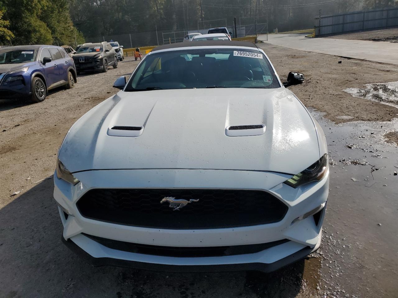 2019 Ford Mustang - Image 5
