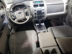 2011 Ford Escape Xlt zu verkaufen in Elgin, IL - Side