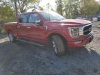 2023 Ford F150 Supercrew en Venta en Marlboro, NY - Water/Flood