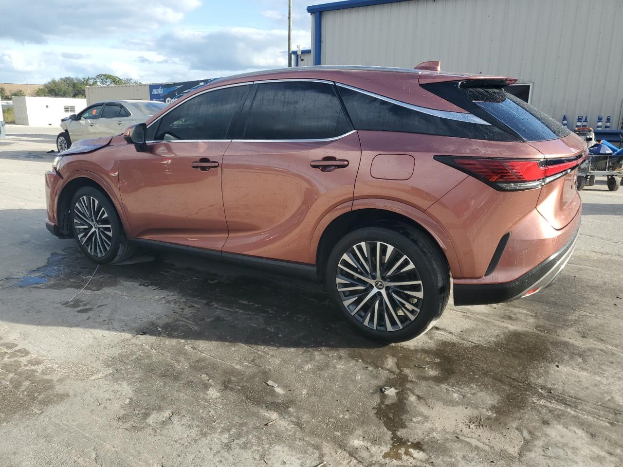 2023 Lexus RX - Image 2