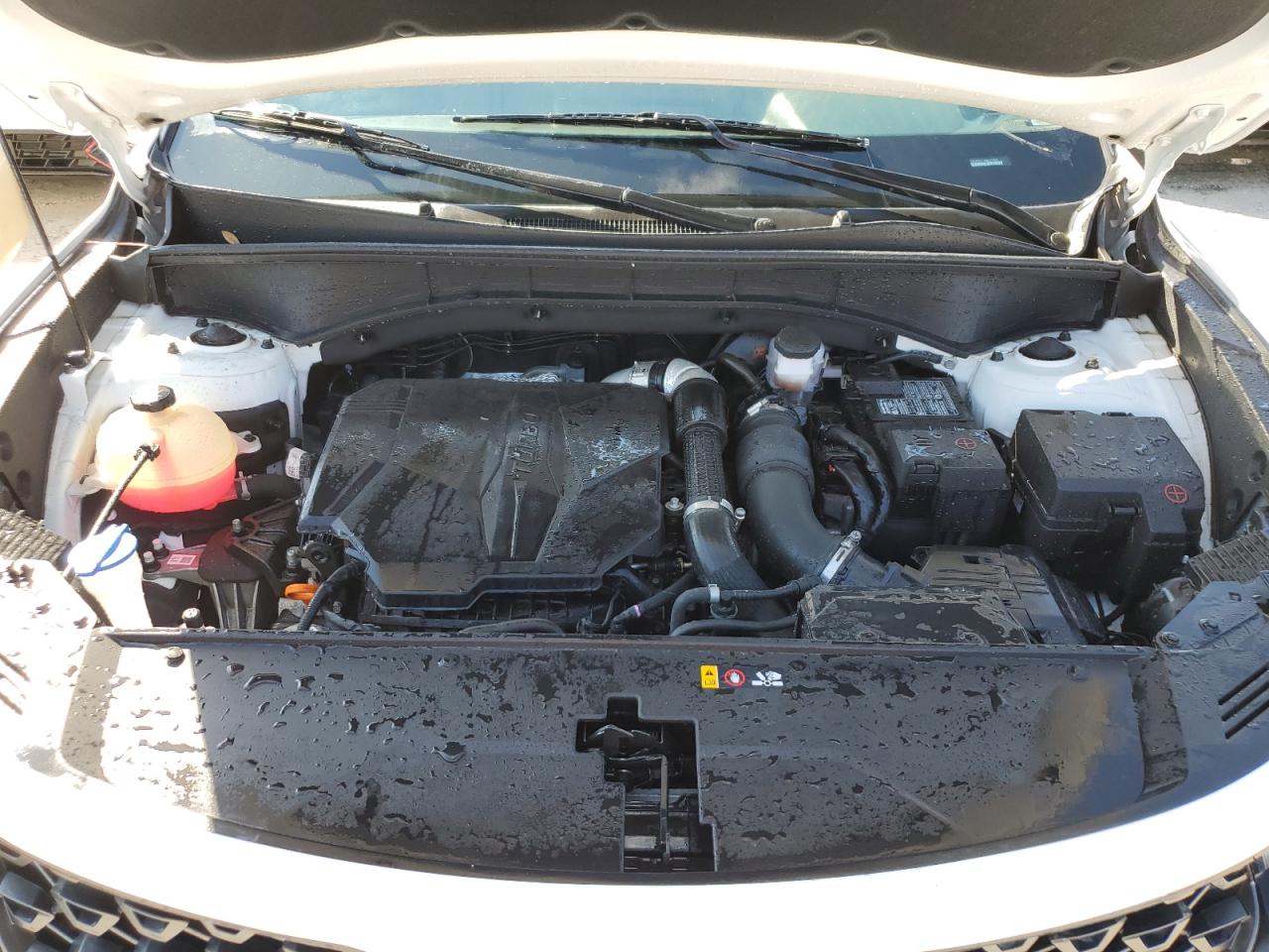 5xyrhdlf4mg071340 5XYRHDLF4MG071340 2021 Kia Sorento Ex