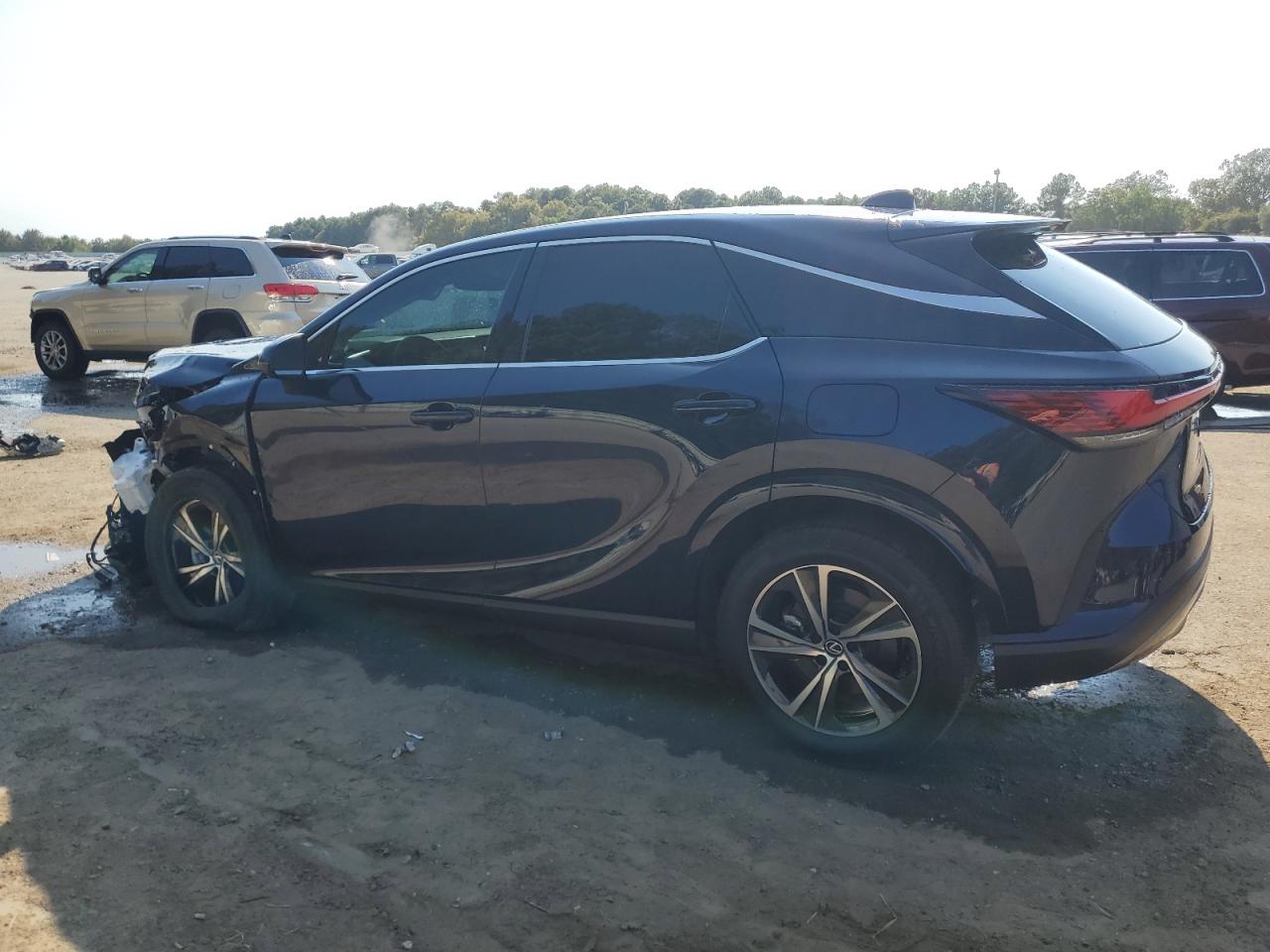 2023 Lexus RX - Image 2