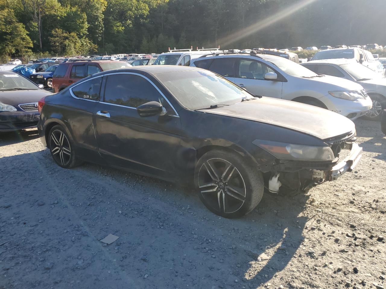 1HGCS2B85BA005022 2011 Honda Accord Exl