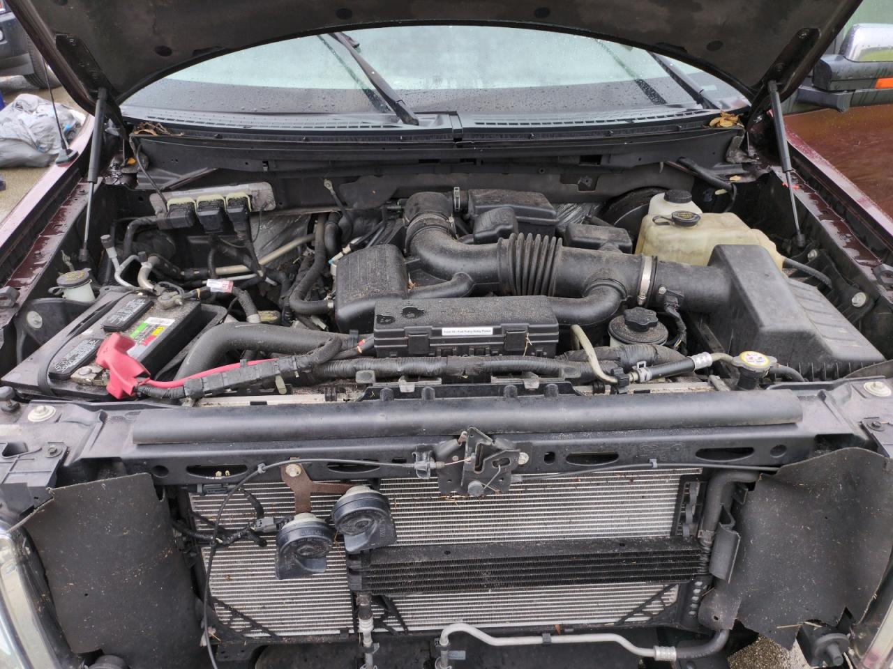 1FTFX1CV6AFD84576 2010 Ford F150 Super Cab