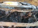 2006 Gmc Savana G3500 იყიდება Elgin-ში, IL - Burn