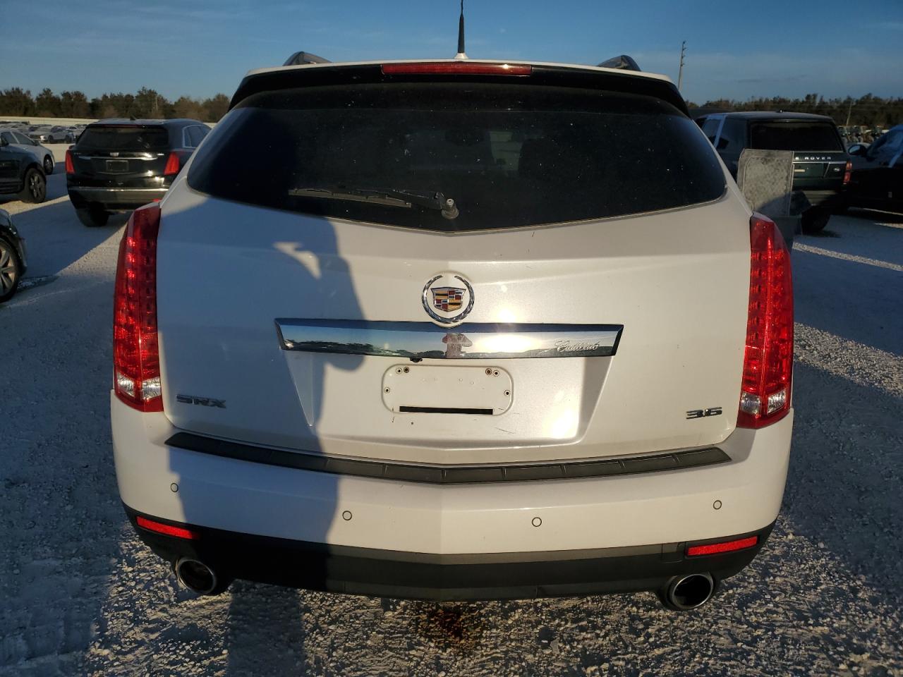 2013 Cadillac Srx Luxury Collection VIN: 3GYFNCE32DS528342 Lot: 74890274