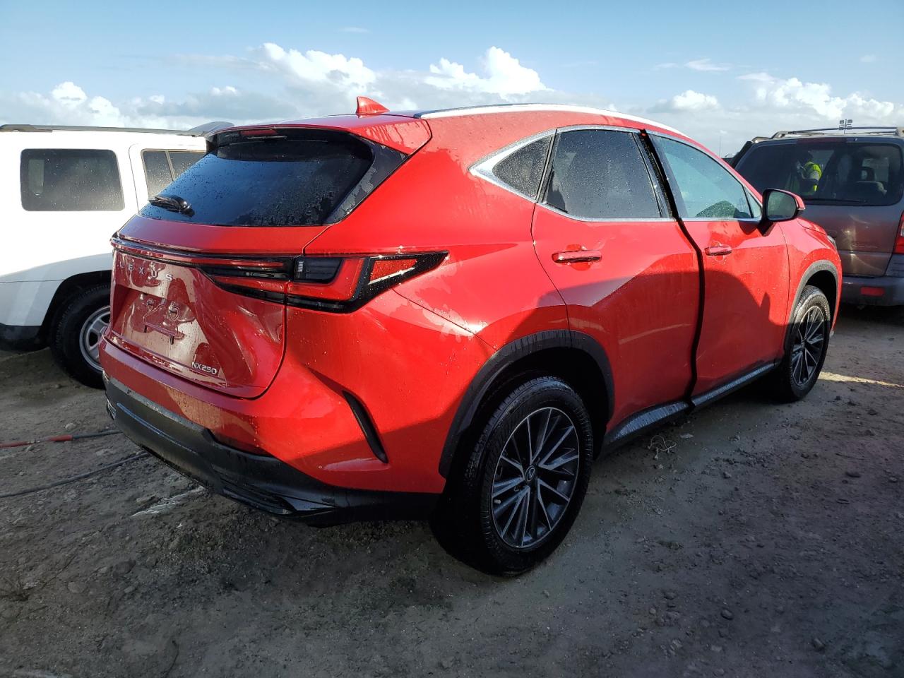 2024 Lexus NX - Image 3