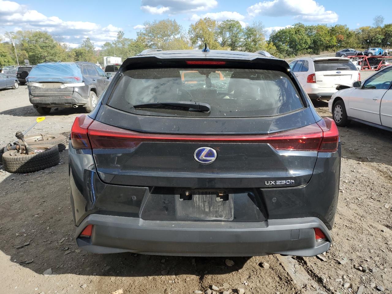 2019 Lexus Ux 250H VIN: JTHU9JBH5K2019486 Lot: 71574134